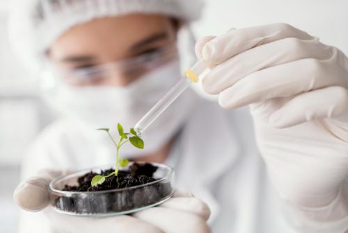 Fenntarthatóság: Ausztriával közös kutatási projektekre nyert el támogatást a Széchenyi István Egyetem Fenntarthatóság: Ausztriával közös kutatási projektekre nyert el támogatást a Széchenyi István Egyetem