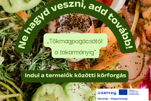 „Tökmagpogácsától a takarmányig” – Indul a termelők közötti körforgás! „Tökmagpogácsától a takarmányig” – Indul a termelők közötti körforgás!